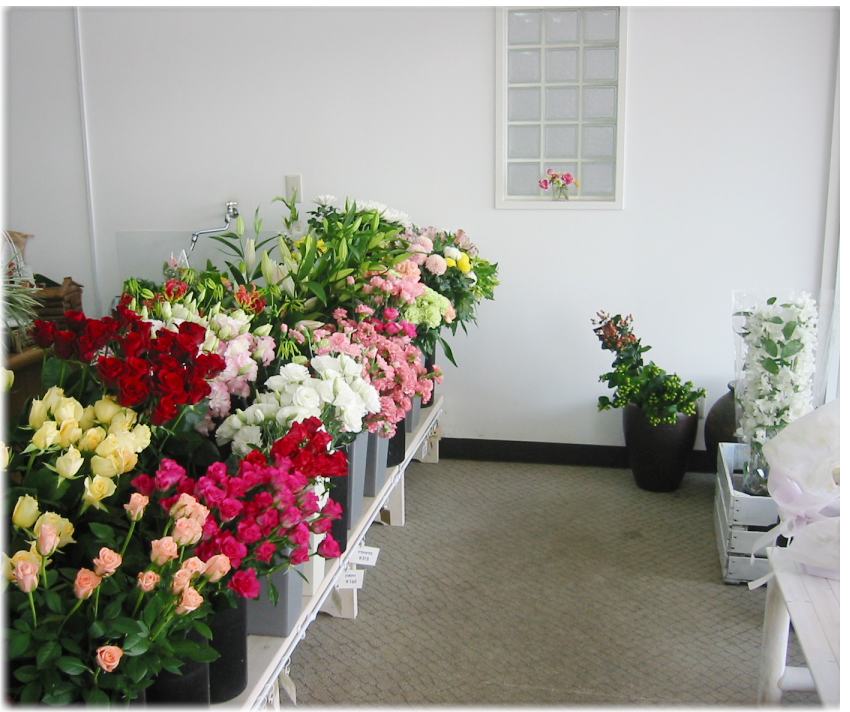 札幌市中央区の花屋　フローラル明日花　ショップ